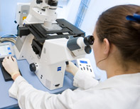 Lead-Discovery-Center
