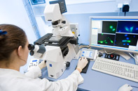 LDC Biology