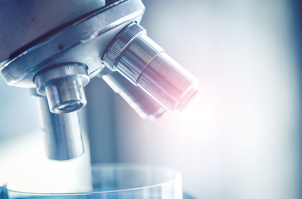 Projektmanager (m/w/d) - auf ein Jahr befristet